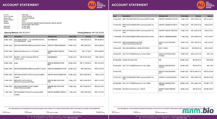 Indie AU Małe Finanse rachunek bankowy Wyciąg słowo i PDF szablon, Wersja 2